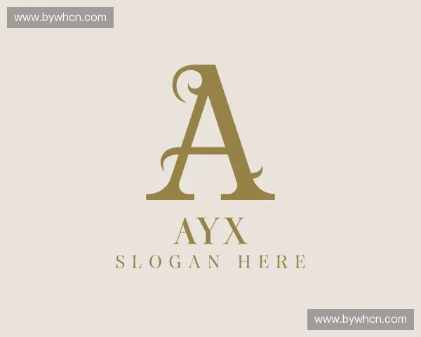 介绍ayx官方